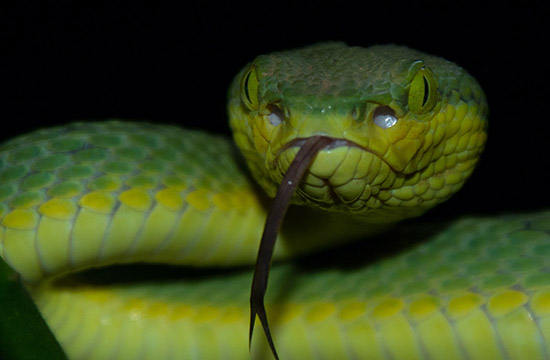 2025整年适合畋猎的吉日 好日子查询