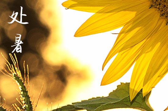 2024处暑是农历哪一天 2024年处暑这天日子怎样