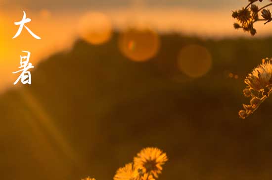 大暑是几月几号2025年几点
