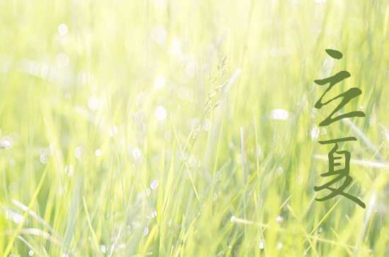 2024年立夏是几点几分几秒 2024年5月5日立夏开柱眼适合吗