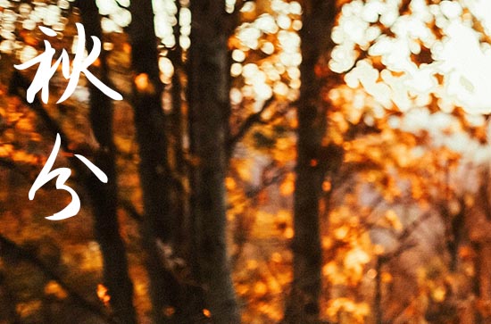 2024年农历几号秋分 2024年秋分弄修坟好吗