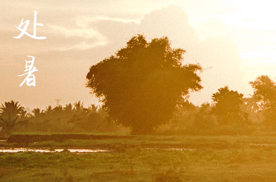 2024年今年处暑是几月几号 2024年处暑挖掘池塘行吗