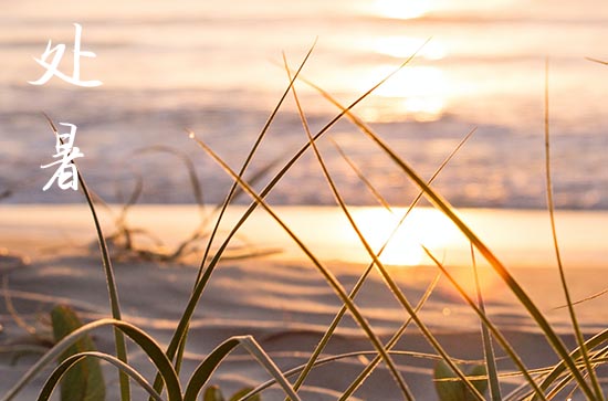 2024年处暑是哪一天 2024年8月22日是处暑 2024年处暑是哪一天 2024年8月22日是处暑
