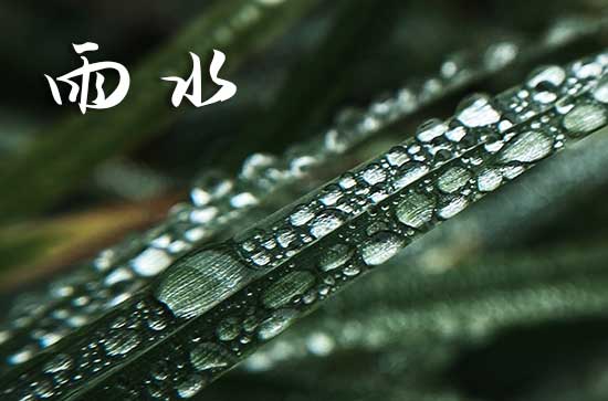 草木萌动雨水到 雨水时节的习俗
