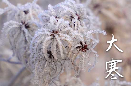 大寒节气话祝福语
