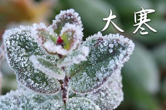大寒是几月几日2025