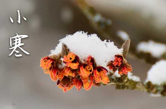 2024年小寒是什么温度