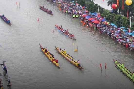 2024端午节是农历几月几日 2024年6月10日端午节养宠物可以吗