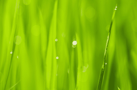 春天的最后一个节气是什么节气 哪个节气后迎来立夏节气