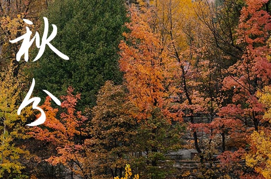 秋分养生祝福语(精选60句) 秋分养生祝福语(精选60句)