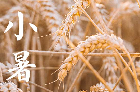 2024年小暑过后几天入伏