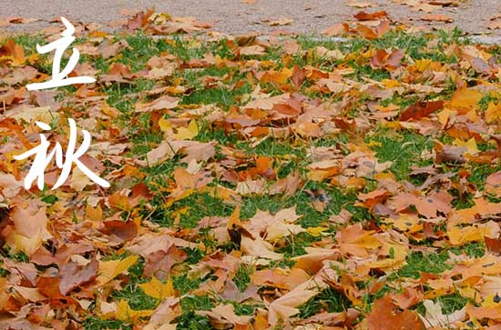 2024年立秋是几月几日 2024年立秋建造仓库合适吗