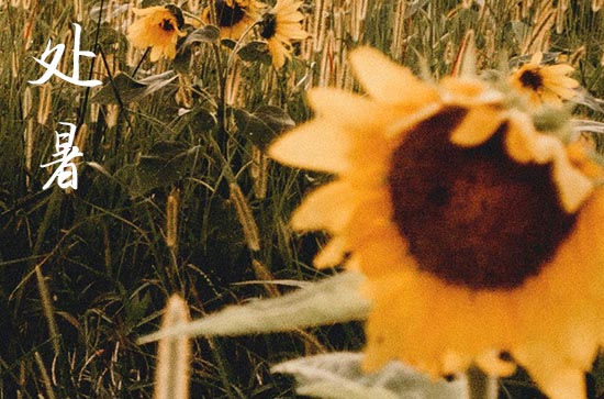 2024年处暑是几点几分几秒 2024年处暑造车器好不好 2024年处暑是几点几分几秒 2024年处暑造车器好不好