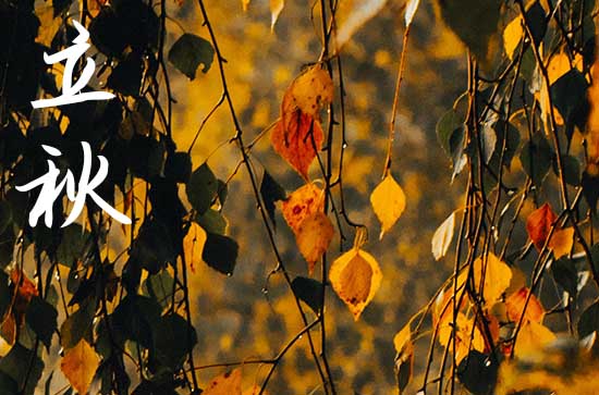 2024年什么时候立秋 2024年8月7日立秋这天宜掘井吗 2024年什么时候立秋 2024年8月7日立秋这天宜掘井吗