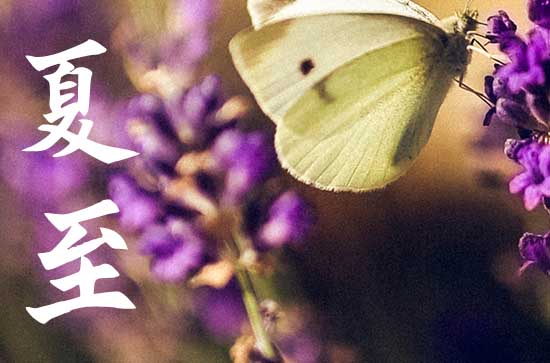 夏至是2024的几月几日几点 夏至是入伏的第一天吗