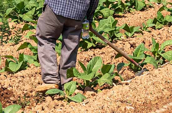 2023五一劳动节高速公路免费吗 2023五一高速公路免费时间