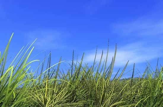 白城今日天气晴 白城2024年5月22日天气预报