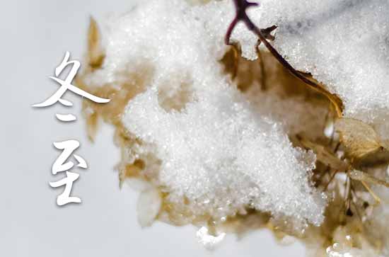 2023年今年冬至是几月几号 2023年冬至池塘放水合适吗