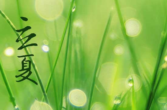 2024年立夏是什么时候时间 2024年5月5日立夏是穿丧服吉日吗