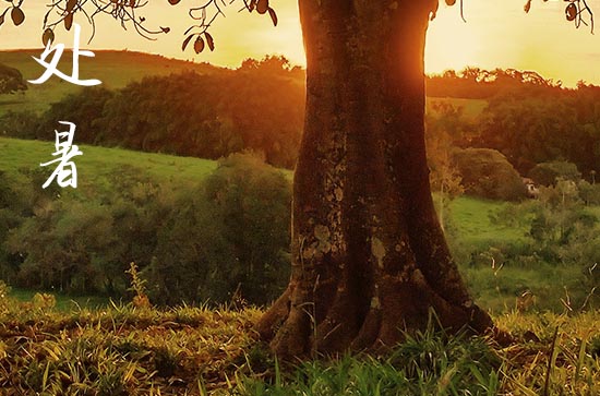 2024年今年处暑是几月几号 2024年8月22日处暑黄历 2024年今年处暑是几月几号 2024年8月22日处暑黄历