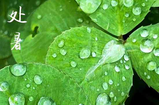 2024年处暑是多少号 2024处暑那天打猎好吗