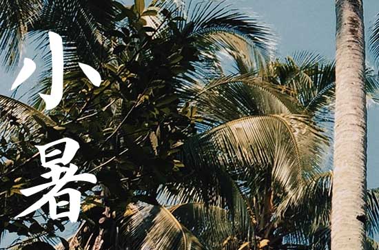 2024年小暑是哪一天 2024小暑那天入宅好不好