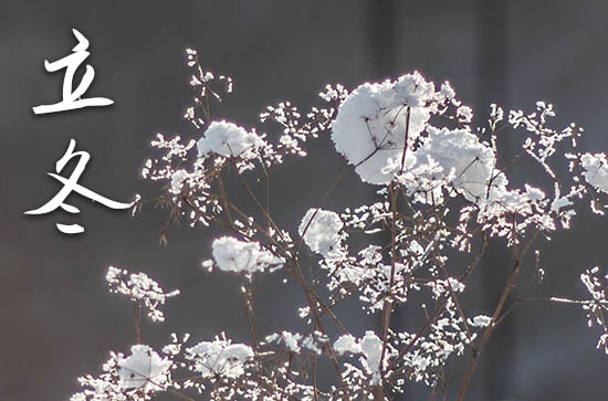 2024年立冬是哪一天 立冬的三候