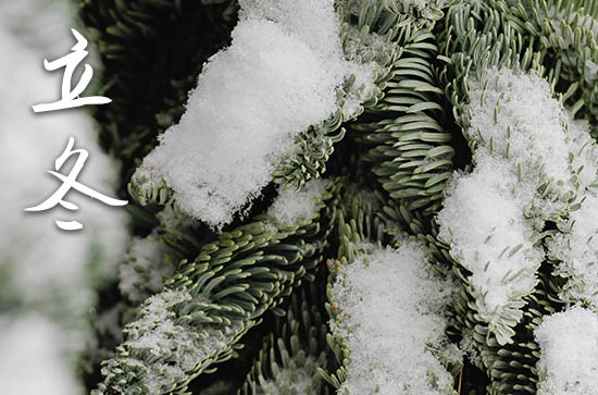 2024年立冬农历时间 2024年立冬适合提车吗