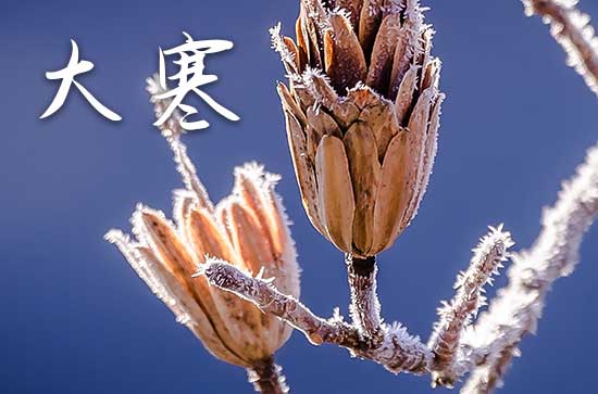 2024年大寒是几月几日多少天