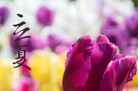 2024年农历几号立夏 2024年立夏剪头发行吗