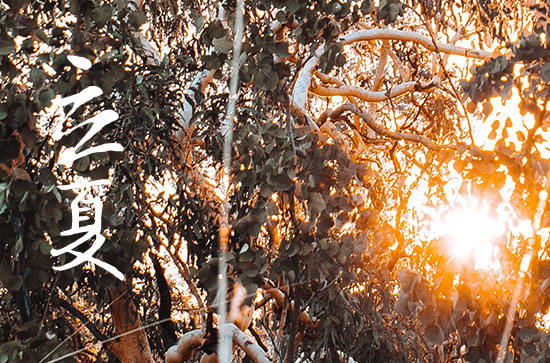 2024年立夏是星期几 2024年5月5日立夏黄历