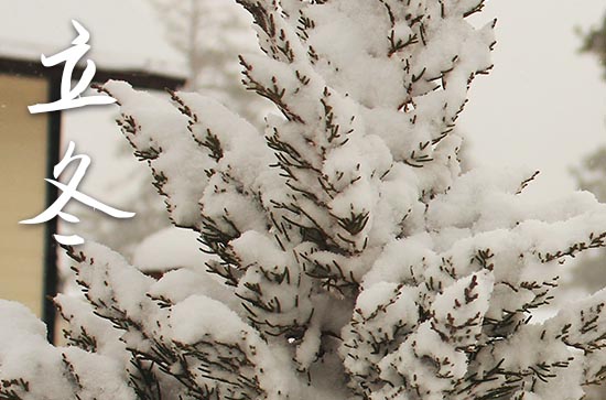 2023年立冬时间是什么时候 2023年立冬能下葬吗 2023年立冬时间是什么时候 2023年立冬能下葬吗