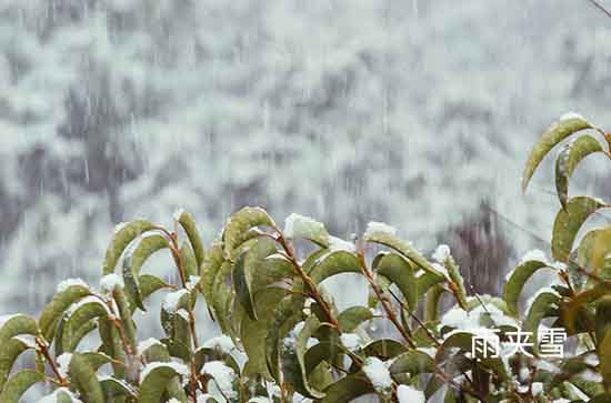 那曲5月24日天气预报:高温12℃~低温0℃，雨夹雪转阴，会下雨