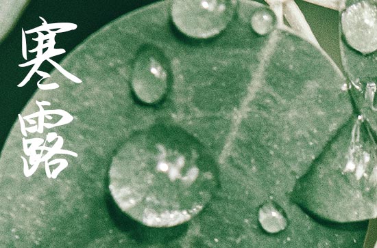 今年寒露是几月几日2024 寒露习俗