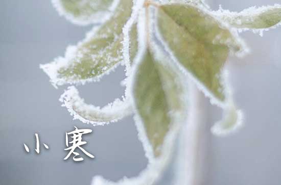 2024小寒节气养生知识 2024小寒养生三大方面知识要点