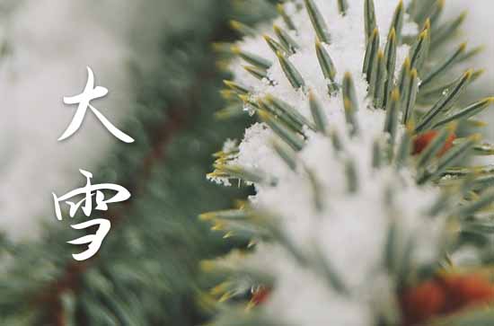 大雪节气祝福语简短唯美句子