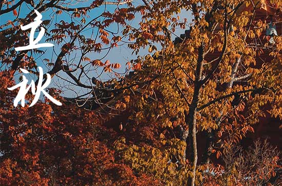 2024年立秋几时几分 2024年8月7日是“早立秋”还是“晚立秋”？