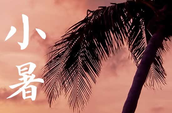 小暑和大暑是属于什么季节节气   夏季消暑小贴士