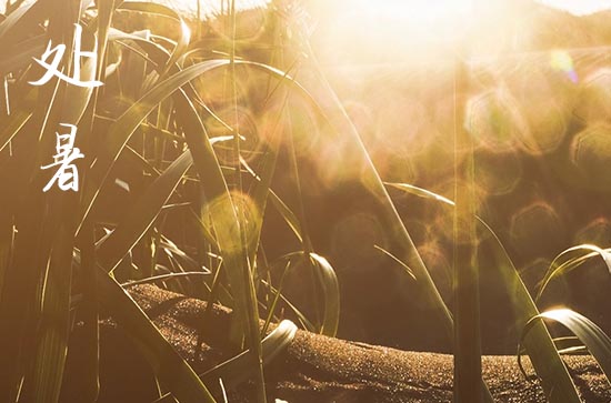 2024年处暑是几点几分几秒 2024年处暑是订婚吉日吗