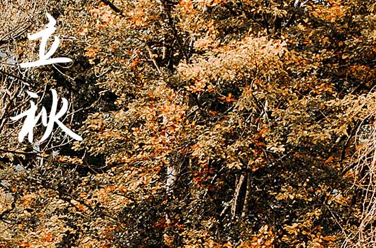 立秋节气的含义是什么意思? 立秋养生的禁忌有哪些