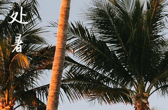 2024处暑是哪天 2024处暑是黄道吉日吗 2024处暑是哪天 2024处暑是黄道吉日吗