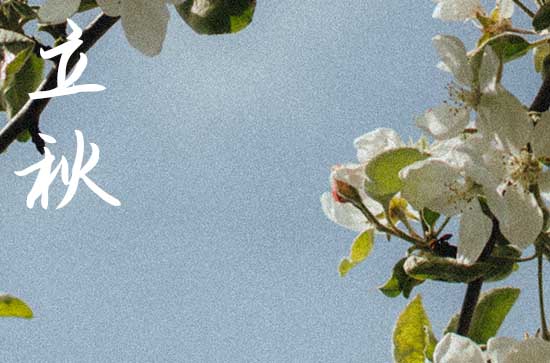 2024年立秋是具体哪一天 2024立秋当天可以提亲吗