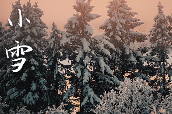 小雪节气是2023的哪一天