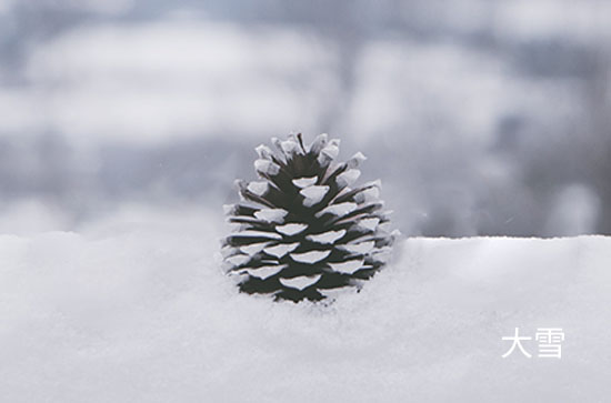 10月31日漠河不会下雨 今日大雪转小雪温度-1℃~-10℃