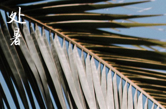 2024年处暑是星期几 2024年8月22日处暑这天适合买狗吗