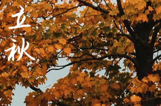 2024年今年立秋是几月几号 2024年立秋弄打地基好不好