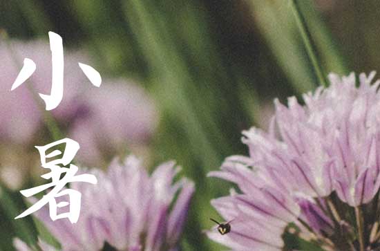 小暑应该注意些什么 小暑有什么风俗