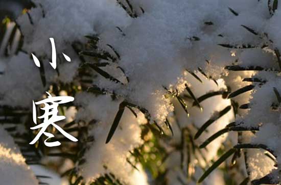 小寒养生祝福短信50句